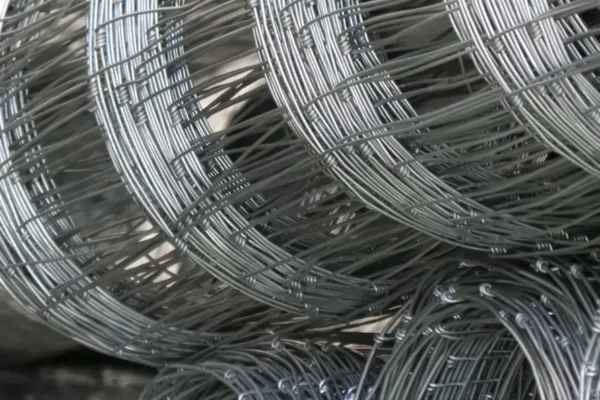 Miskinis-tinklas-Metallum-Novum-04