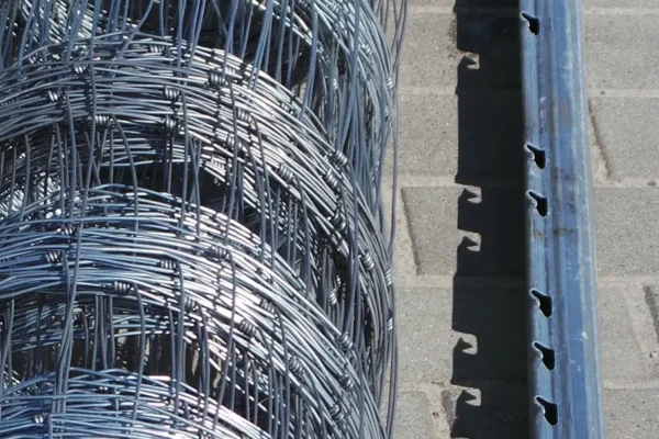 Miskinis-tinklas-Metallum-Novum-06