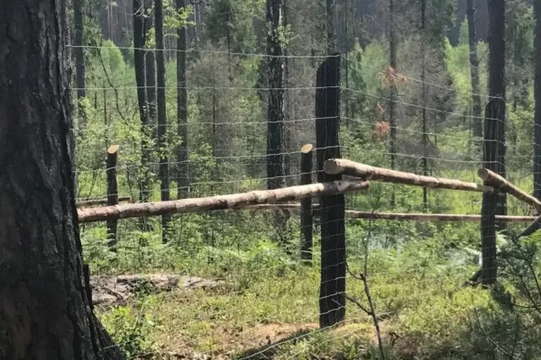 Miskiniai-tinklai-Metallum-Novum-02