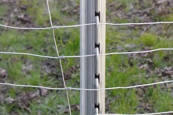 Miskiniai-tinklai-Metallum-Novum-04