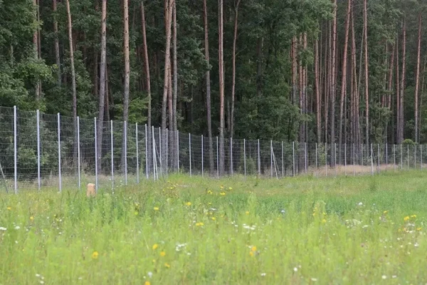 Miskiniai-tinklai-Metallum-Novum-08