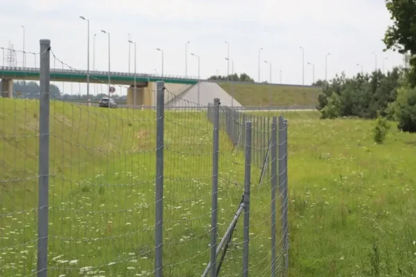 Miskiniai-tinklai-Metallum-Novum-09