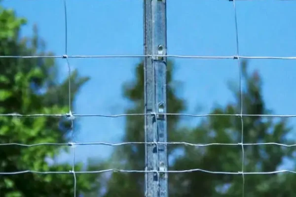 Miskiniai-tinklai-Metallum-Novum-13