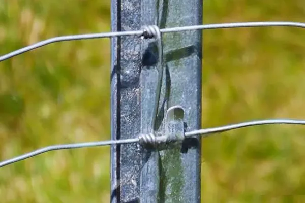 Miskiniai-tinklai-Metallum-Novum-15