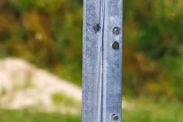 Miskiniai-tinklai-Metallum-Novum-17