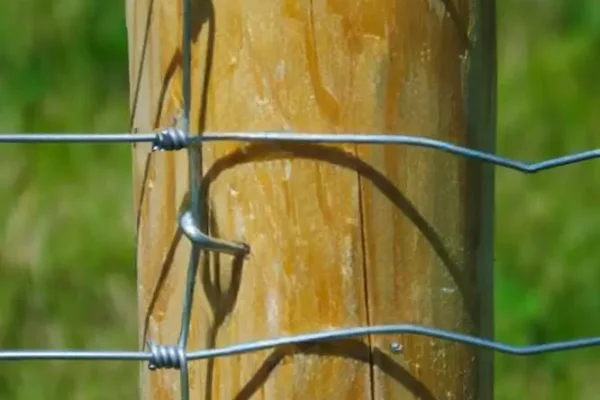 Miskiniai-tinklai-Metallum-Novum-18