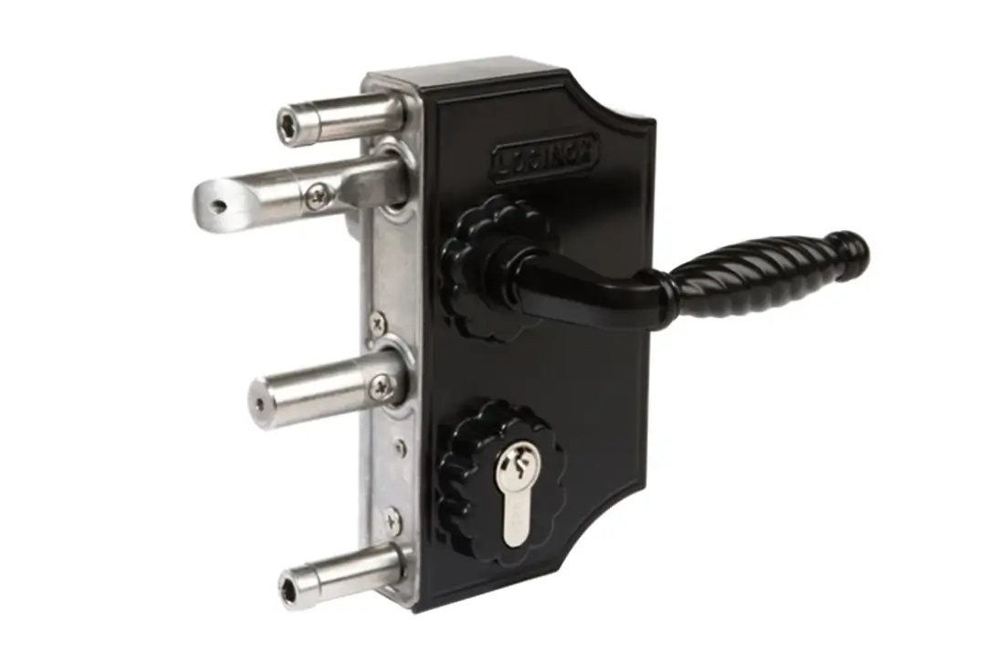 Locinox-ornamentine-vartu-spyna-01 - Metallum Novum